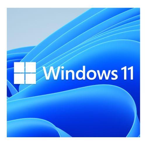 Microsoft Windows 11 Professional 64-bit, OEM DVD, Single Copy