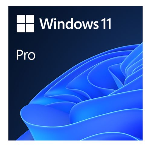 Microsoft Windows 11 Professional 64bit English OEI DVD Operating Software OEM